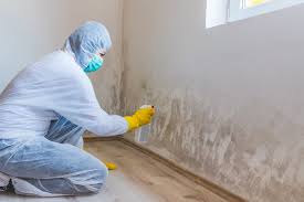 Best Biohazard Mold Removal  in Bonanza, GA