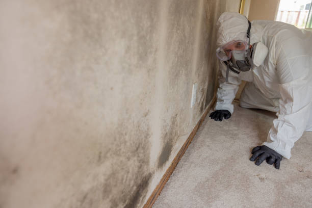 Best Water Damage & Mold Remediation  in Bonanza, GA