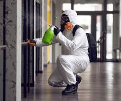 Best Environmental Consulting for Mold Prevention  in Bonanza, GA