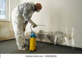 Best Mold Removal for HVAC Installations  in Bonanza, GA